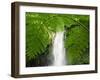South East Luzon, Bicol Province, Mount Isarog National Park - Malabsay Waterfall, Philippines-Christian Kober-Framed Photographic Print