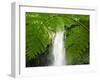 South East Luzon, Bicol Province, Mount Isarog National Park - Malabsay Waterfall, Philippines-Christian Kober-Framed Photographic Print