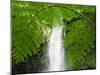 South East Luzon, Bicol Province, Mount Isarog National Park - Malabsay Waterfall, Philippines-Christian Kober-Mounted Photographic Print