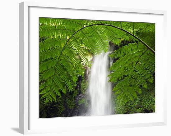 South East Luzon, Bicol Province, Mount Isarog National Park - Malabsay Waterfall, Philippines-Christian Kober-Framed Photographic Print