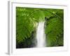 South East Luzon, Bicol Province, Mount Isarog National Park - Malabsay Waterfall, Philippines-Christian Kober-Framed Photographic Print