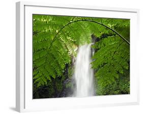 South East Luzon, Bicol Province, Mount Isarog National Park - Malabsay Waterfall, Philippines-Christian Kober-Framed Photographic Print