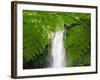 South East Luzon, Bicol Province, Mount Isarog National Park - Malabsay Waterfall, Philippines-Christian Kober-Framed Photographic Print