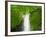 South East Luzon, Bicol Province, Mount Isarog National Park - Malabsay Waterfall, Philippines-Christian Kober-Framed Photographic Print