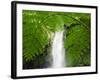 South East Luzon, Bicol Province, Mount Isarog National Park - Malabsay Waterfall, Philippines-Christian Kober-Framed Photographic Print