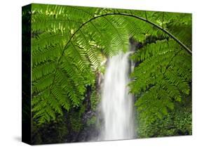 South East Luzon, Bicol Province, Mount Isarog National Park - Malabsay Waterfall, Philippines-Christian Kober-Stretched Canvas