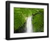 South East Luzon, Bicol Province, Mount Isarog National Park - Malabsay Waterfall, Philippines-Christian Kober-Framed Photographic Print