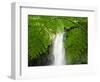 South East Luzon, Bicol Province, Mount Isarog National Park - Malabsay Waterfall, Philippines-Christian Kober-Framed Photographic Print