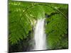 South East Luzon, Bicol Province, Mount Isarog National Park - Malabsay Waterfall, Philippines-Christian Kober-Mounted Photographic Print