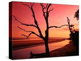 South End Beach at Twilight-James Randklev-Stretched Canvas