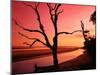 South End Beach at Twilight-James Randklev-Mounted Photographic Print