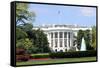 South Facade and South Lawn of the White House in Washington DC in Spring Colors-1photo-Framed Stretched Canvas