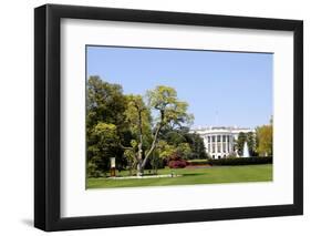 South Facade and South Lawn of the White House in Washington DC in Spring Colors-1photo-Framed Photographic Print