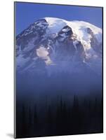 South face of Mt. Rainier at sunrise, Mt. Rainier National Park, Washington, USA-Charles Gurche-Mounted Photographic Print