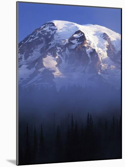 South face of Mt. Rainier at sunrise, Mt. Rainier National Park, Washington, USA-Charles Gurche-Mounted Photographic Print