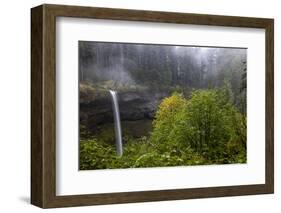 South Falls at Silver Falls State Park near Sublimity, Oregon, USA-Chuck Haney-Framed Photographic Print
