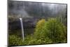 South Falls at Silver Falls State Park near Sublimity, Oregon, USA-Chuck Haney-Mounted Photographic Print