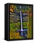 South Falls at Silver Falls State Park, Oregon, USA-Joe Restuccia III-Framed Stretched Canvas