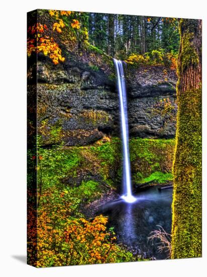 South Falls at Silver Falls State Park, Oregon, USA-Joe Restuccia III-Stretched Canvas