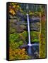 South Falls at Silver Falls State Park, Oregon, USA-Joe Restuccia III-Framed Stretched Canvas