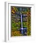South Falls at Silver Falls State Park, Oregon, USA-Joe Restuccia III-Framed Premium Photographic Print