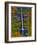 South Falls at Silver Falls State Park, Oregon, USA-Joe Restuccia III-Framed Photographic Print