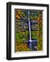 South Falls at Silver Falls State Park, Oregon, USA-Joe Restuccia III-Framed Photographic Print