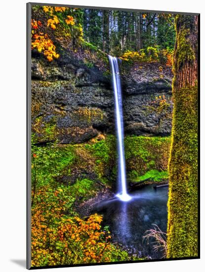 South Falls at Silver Falls State Park, Oregon, USA-Joe Restuccia III-Mounted Photographic Print