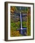 South Falls at Silver Falls State Park, Oregon, USA-Joe Restuccia III-Framed Photographic Print