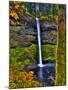 South Falls at Silver Falls State Park, Oregon, USA-Joe Restuccia III-Mounted Photographic Print