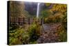 South Falls in Autumn at Silver Falls State Park, Silverton, Oregon-Chuck Haney-Stretched Canvas