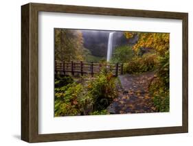 South Falls in Autumn at Silver Falls State Park, Silverton, Oregon-Chuck Haney-Framed Photographic Print