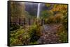 South Falls in Autumn at Silver Falls State Park, Silverton, Oregon-Chuck Haney-Framed Stretched Canvas