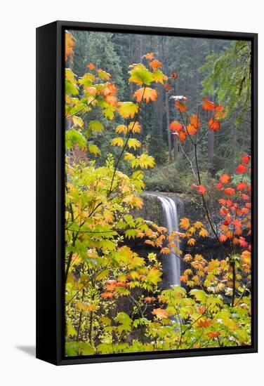 South Falls in Autumn Detail, Silver Falls State Park, Silverton, Oregon-Vincent James-Framed Stretched Canvas