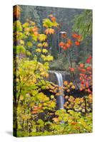 South Falls in Autumn Detail, Silver Falls State Park, Silverton, Oregon-Vincent James-Stretched Canvas