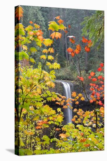 South Falls in Autumn Detail, Silver Falls State Park, Silverton, Oregon-Vincent James-Stretched Canvas