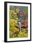 South Falls in Autumn Detail, Silver Falls State Park, Silverton, Oregon-Vincent James-Framed Photographic Print