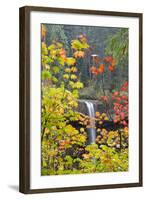 South Falls in Autumn Detail, Silver Falls State Park, Silverton, Oregon-Vincent James-Framed Photographic Print