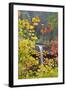 South Falls in Autumn Detail, Silver Falls State Park, Silverton, Oregon-Vincent James-Framed Photographic Print