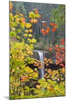 South Falls in Autumn Detail, Silver Falls State Park, Silverton, Oregon-Vincent James-Mounted Photographic Print