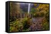 South Falls in Autumn, Silver Falls State Park Near Silverton, Oregon-Chuck Haney-Framed Stretched Canvas