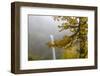 South Falls in Autumn, Silver Falls State Park Near Silverton, Oregon-Chuck Haney-Framed Photographic Print