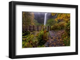 South Falls in Autumn, Silver Falls State Park Near Silverton, Oregon-Chuck Haney-Framed Photographic Print