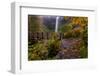 South Falls in Autumn, Silver Falls State Park Near Silverton, Oregon-Chuck Haney-Framed Photographic Print