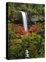 South Falls in Autumn, Silver Falls State Park, Oregon, USA-Michel Hersen-Stretched Canvas