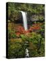 South Falls in Autumn, Silver Falls State Park, Oregon, USA-Michel Hersen-Stretched Canvas