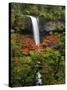 South Falls in Autumn, Silver Falls State Park, Oregon, USA-Michel Hersen-Stretched Canvas