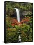 South Falls in Autumn, Silver Falls State Park, Oregon, USA-Michel Hersen-Framed Stretched Canvas