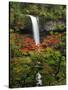 South Falls in Autumn, Silver Falls State Park, Oregon, USA-Michel Hersen-Stretched Canvas