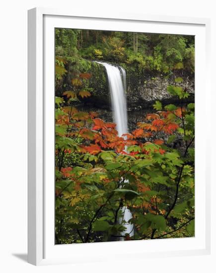 South Falls in Autumn, Silver Falls State Park, Oregon, USA-Michel Hersen-Framed Premium Photographic Print